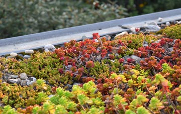 the cost of Horndean green roof installation