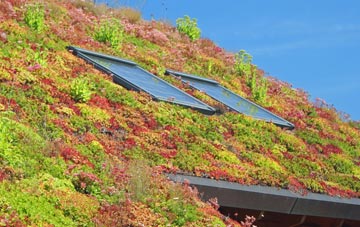 Horndean living roof systems